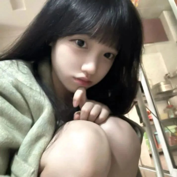 壳中少女 排气